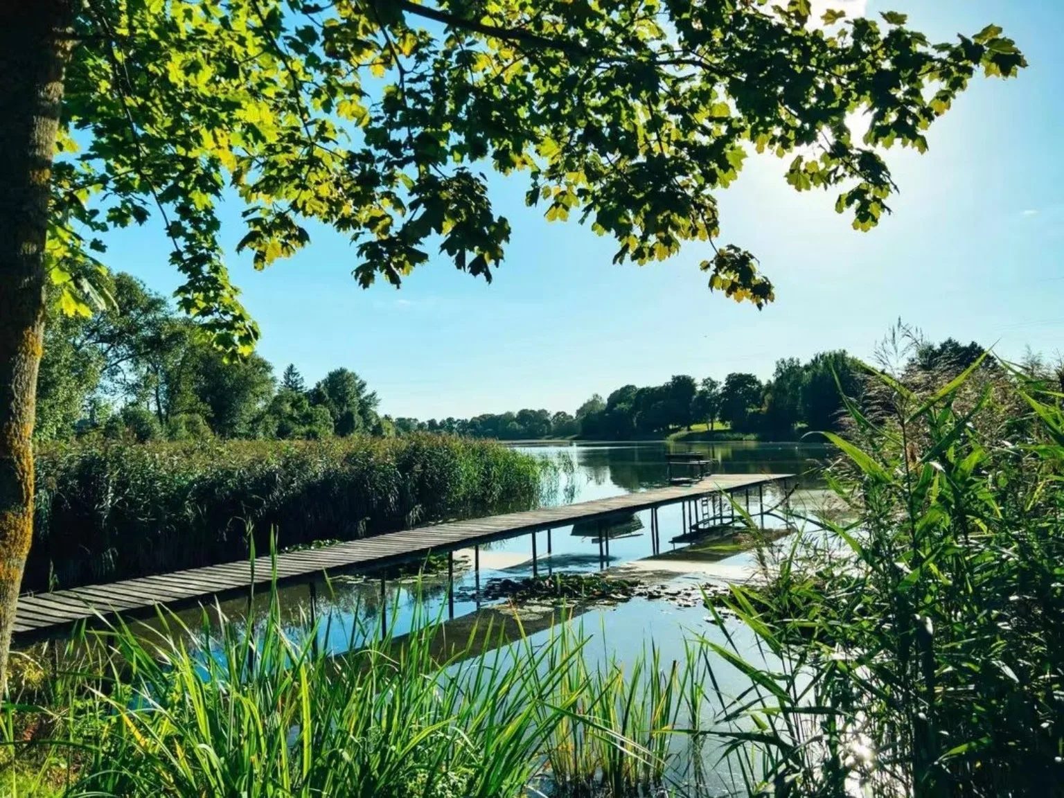 Rukų ežeras ir pakrantė